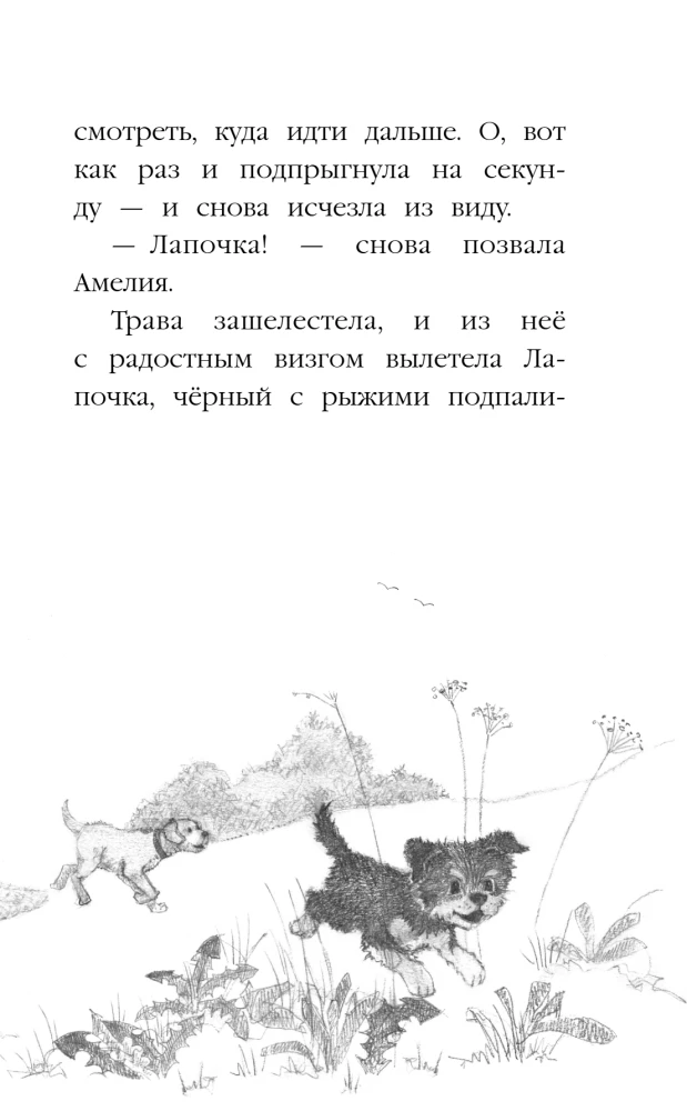 Puppy Lapochka, or The Incredible Return