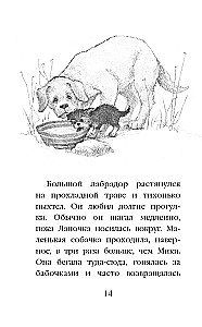 Puppy Lapochka, or The Incredible Return
