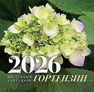 Hortensje. Kalendarz ścienny na 2026 rok