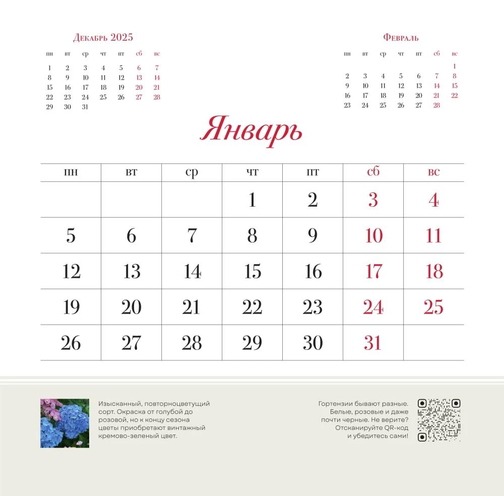 Hortensje. Kalendarz ścienny na 2026 rok