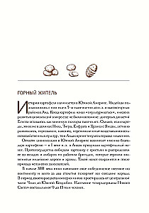 Простовещи. История мира через легендарные товары и любимые продукты
