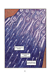 Gustav Klimt. Absolutne piękno