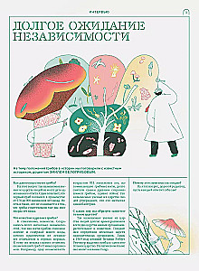 Мико. Полный путеводитель по миру грибов. Выпуск 1