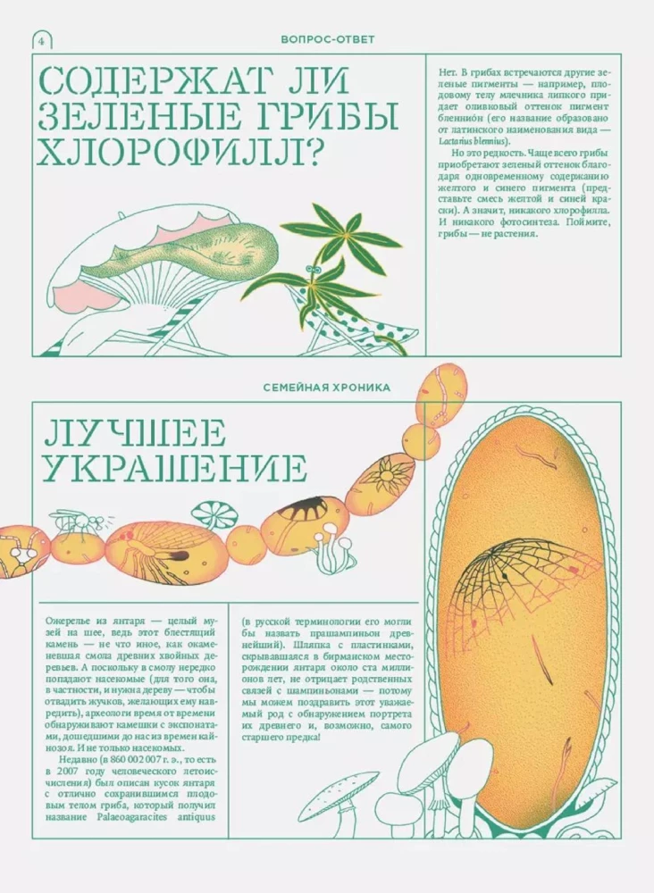 Мико. Полный путеводитель по миру грибов. Выпуск 1