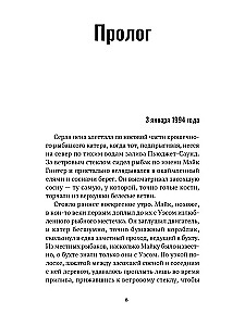 Ko slēpj paisums
