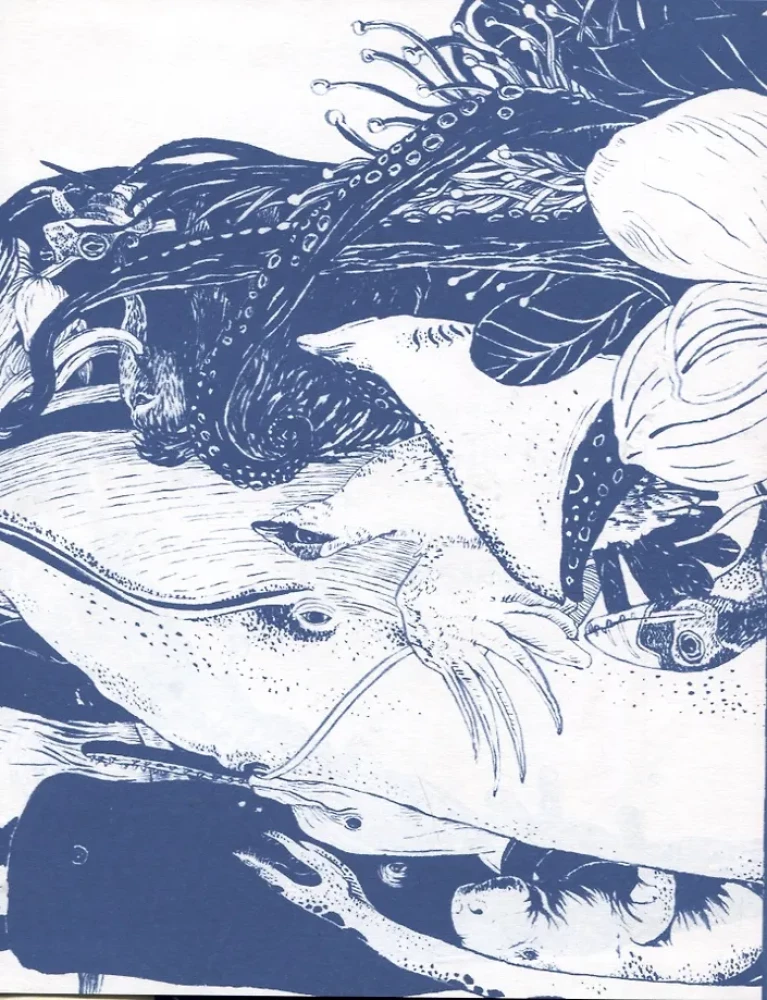 Wasser. Ein Buch über die wichtigste Substanz der Welt