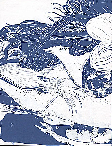 Wasser. Ein Buch über die wichtigste Substanz der Welt