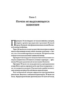 Sapiens. A Brief History of Humankind