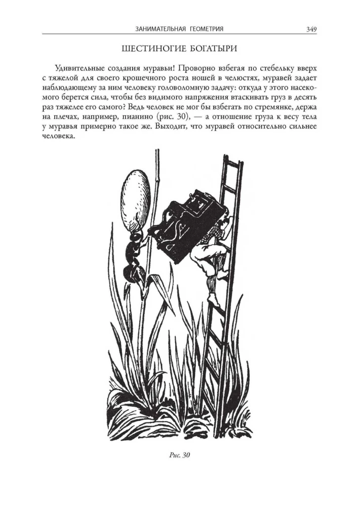 Занимательная математика