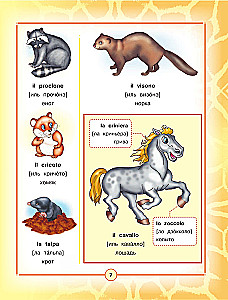 Italienisch-Russisches visuelles Wörterbuch