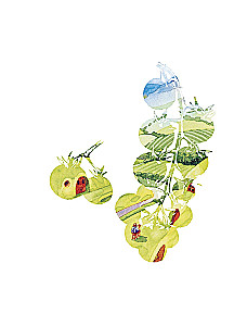 Viduržemio receptai. Tolkeino pasaulio kulinarinė knyga