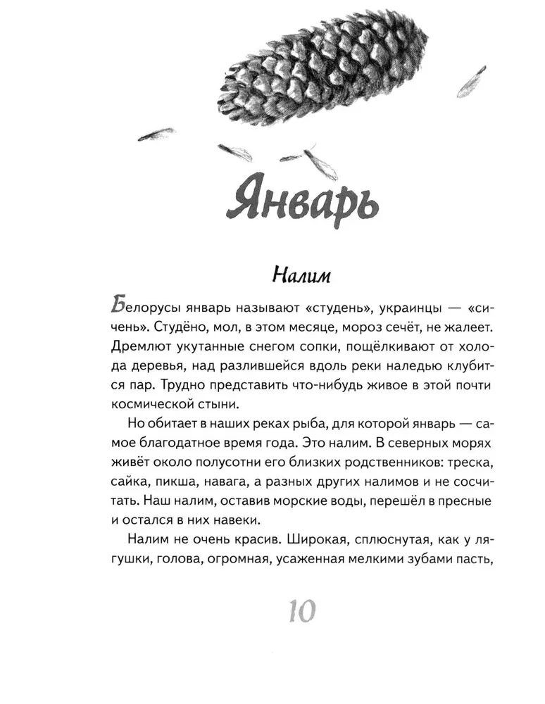 Иду по тайге