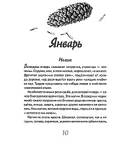 Иду по тайге