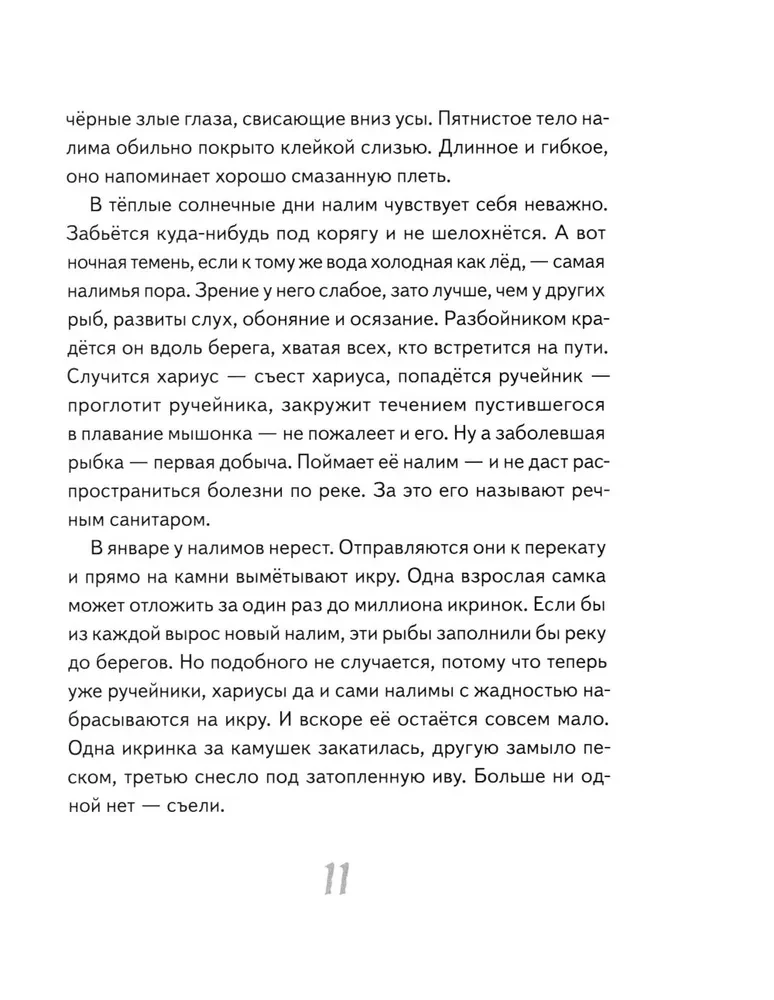 Иду по тайге