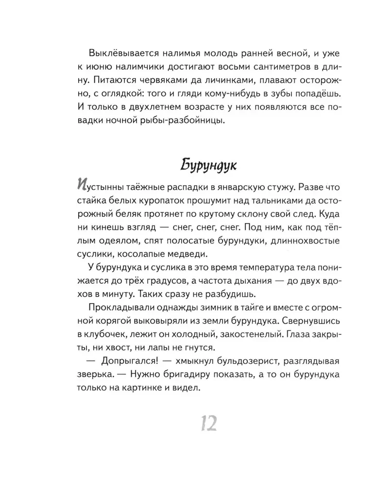 Иду по тайге