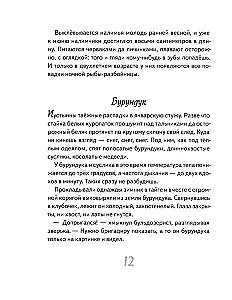 Иду по тайге