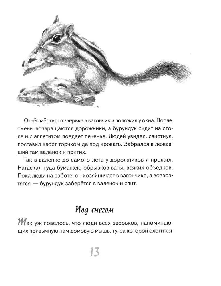 Иду по тайге