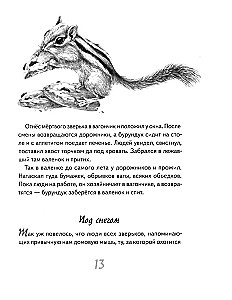 Иду по тайге