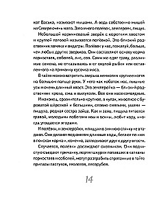 Иду по тайге