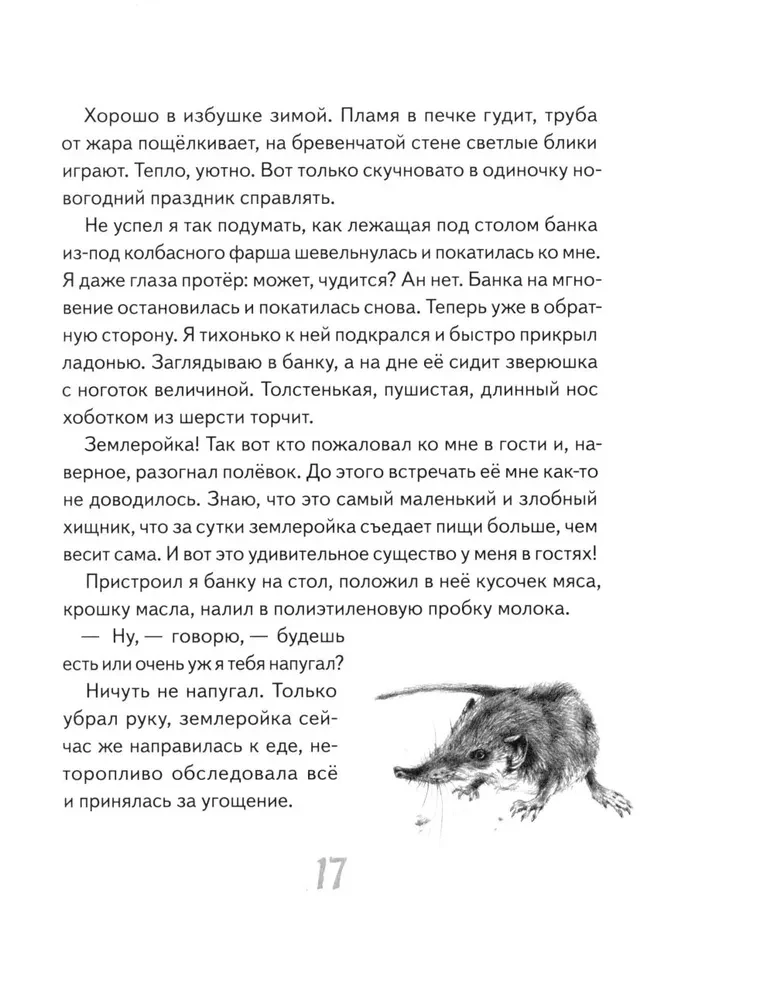 Иду по тайге