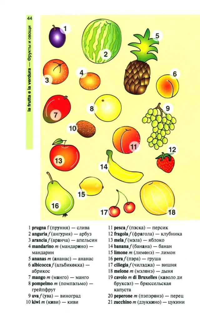 Italian Language in Pictures