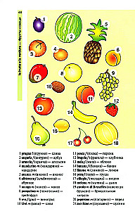 Italian Language in Pictures