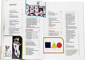 Język włoski. Ilustrowana gramatyka