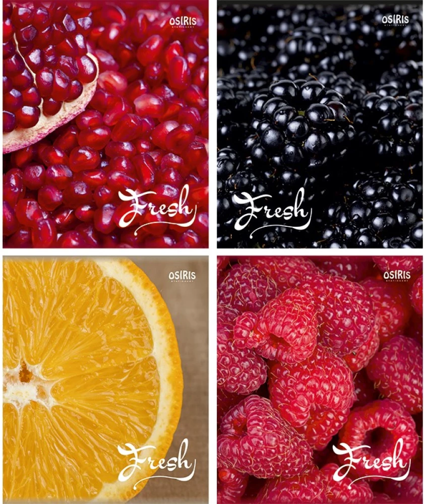 Notizbuch - Fresh, A5, 96 Blatt, kariert, in Assortiment