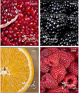 Notizbuch - Fresh, A5, 96 Blatt, kariert, in Assortiment