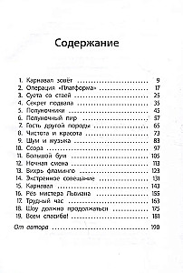 Отель Фламинго. Все на карнавал!