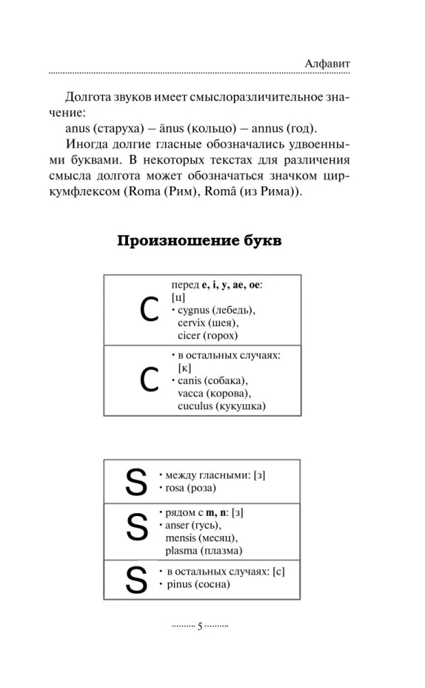Latin Grammar Without a Tutor. All Complexities in Simple Schemes