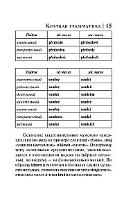 Czech Language. 4-in-1: Grammar, Phrasebook, Czech-Russian Dictionary, Russian-Czech Dictionary