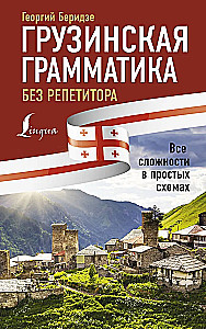 Грузинская грамматика без репетитора. Все сложности в простых схемах