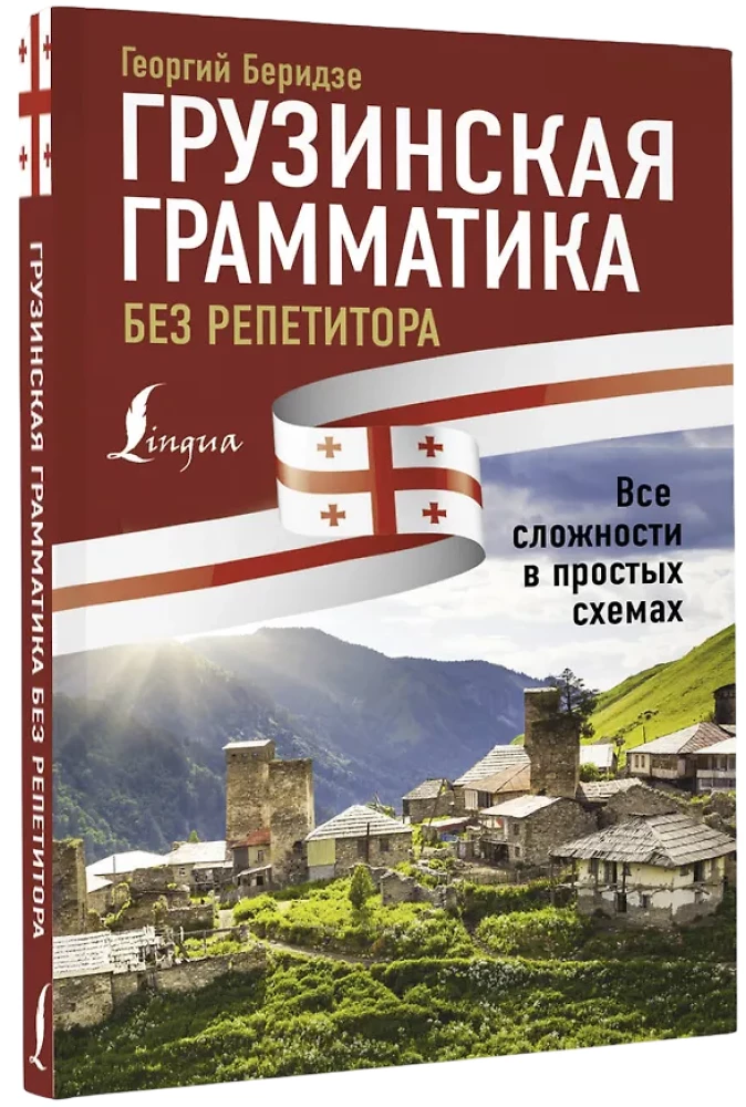 Грузинская грамматика без репетитора. Все сложности в простых схемах