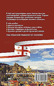 Грузинская грамматика без репетитора. Все сложности в простых схемах