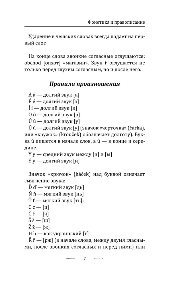 Грамматика чешского языка за 30 дней