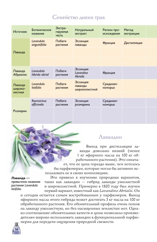 Духи. Основы парфюмерии. Популярный иллюстрированный гид