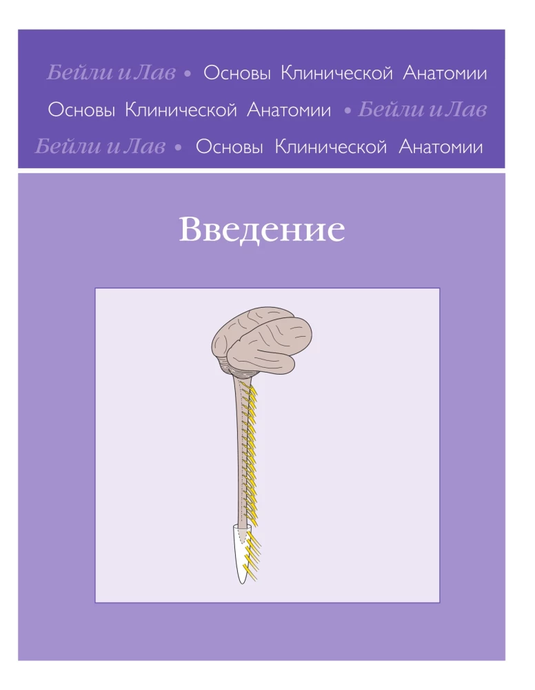 Основы клинической анатомии. Иллюстрированный атлас нозологий и патологий