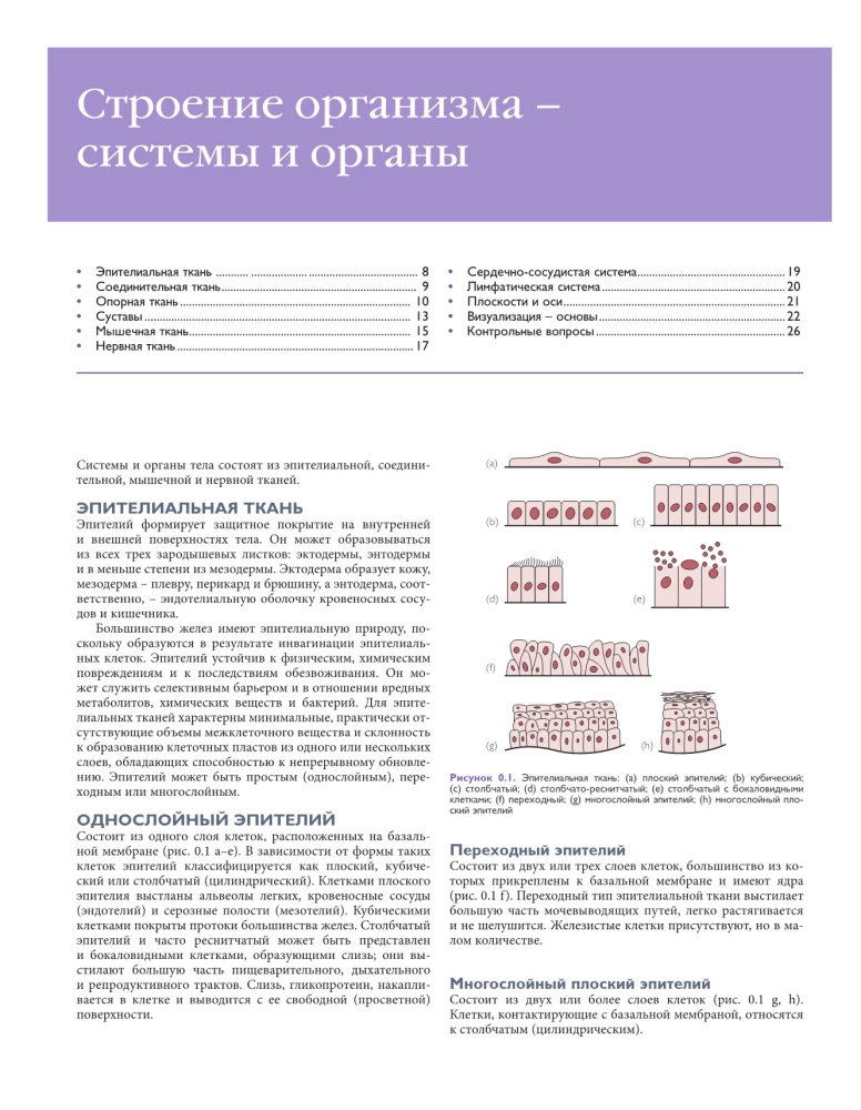 Основы клинической анатомии. Иллюстрированный атлас нозологий и патологий