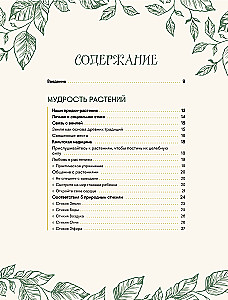 Шаманское травничество. Сила растений. Рецепты наших предков