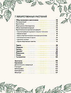 Шаманское травничество. Сила растений. Рецепты наших предков