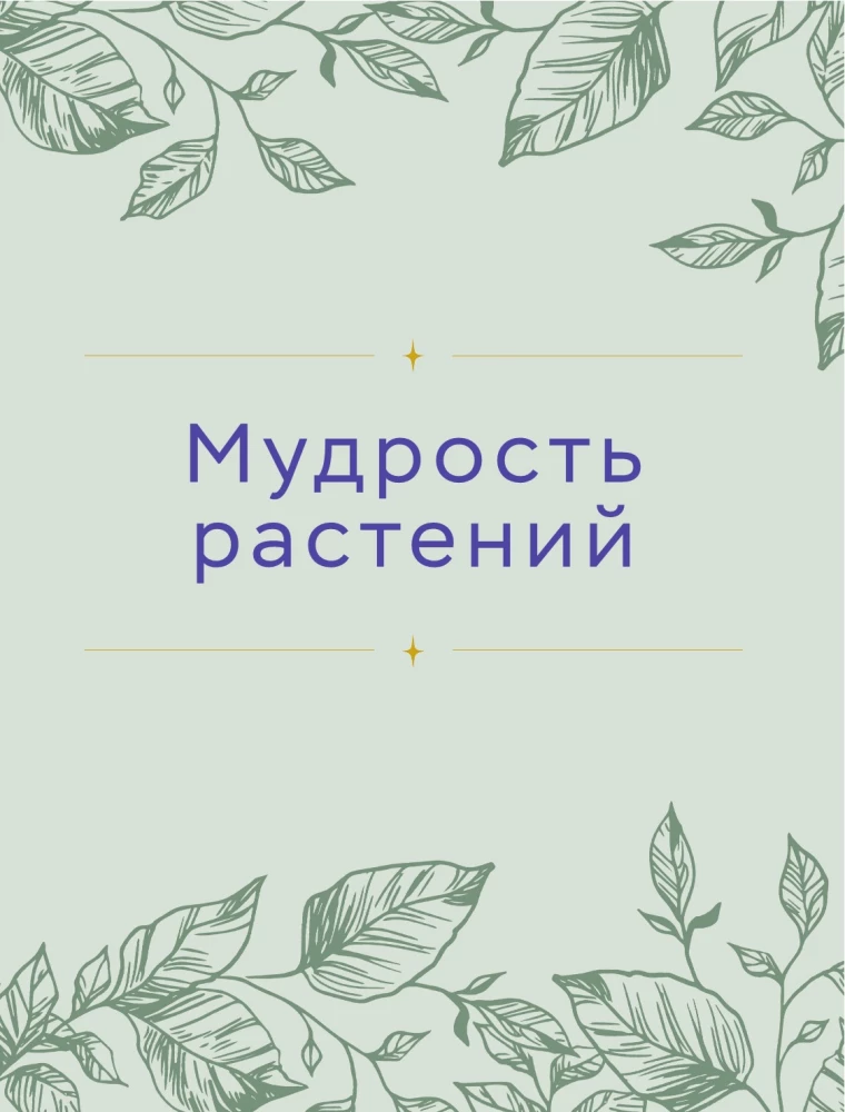 Шаманское травничество. Сила растений. Рецепты наших предков