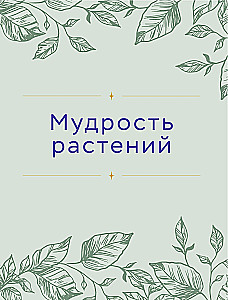 Шаманское травничество. Сила растений. Рецепты наших предков