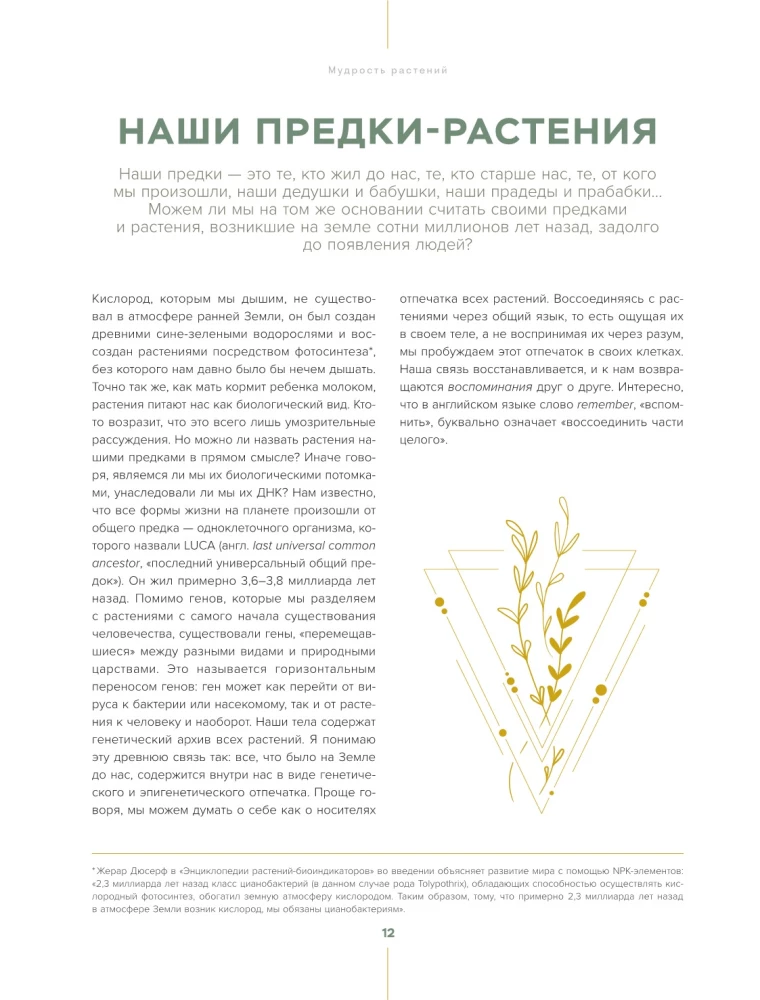 Шаманское травничество. Сила растений. Рецепты наших предков