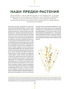 Шаманское травничество. Сила растений. Рецепты наших предков