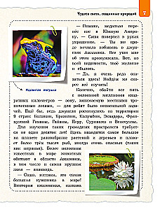 Wonders of the World for Children