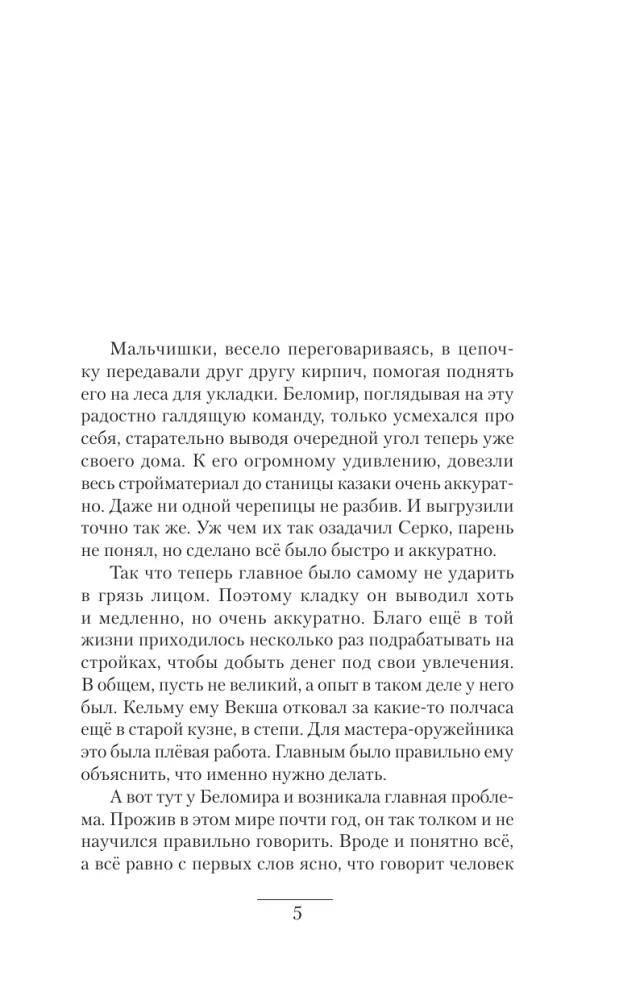 Krechet. The First Focus