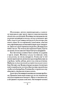 Krechet. The First Focus