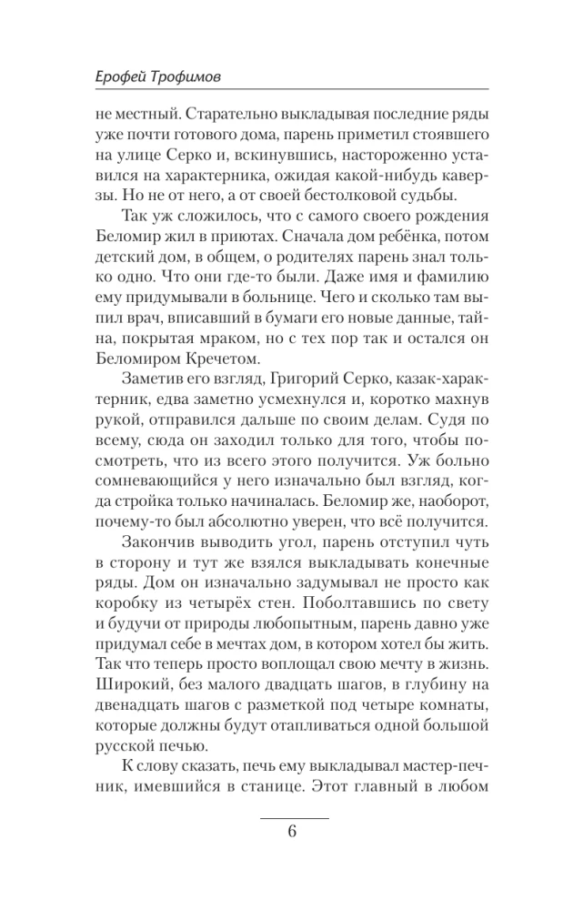 Krechet. The First Focus