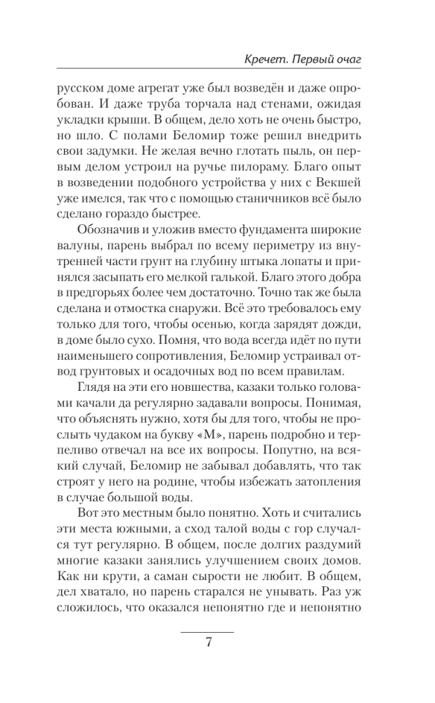 Krechet. The First Focus